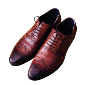Red Knot Formal Brown 2